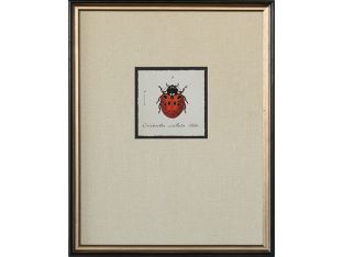 Lady Bug I - 15.25W x 19.25H