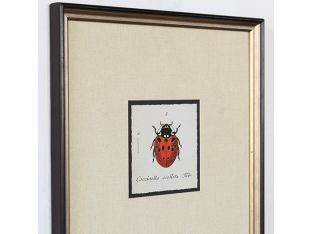 Lady Bug I - 15.25W x 19.25H