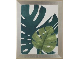 Giant Elephant Ears 1 37W x 47H
