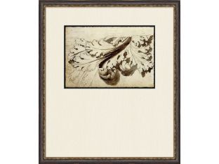 Architectural Adornment 4 25W x 29H