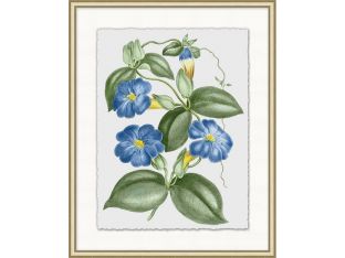 Floral Study 1 20W x 25H