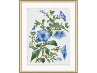 Floral Study 2 20W x 25H