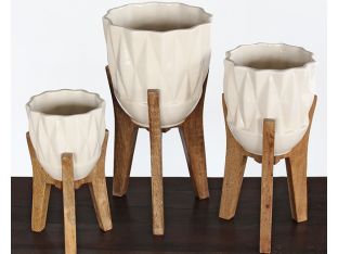 Set of 3 Ella Elaine Amara Vases on Wood Stands