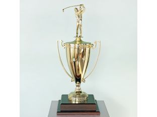 Golden Cup Golfer Trophy