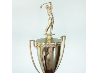 Golden Cup Golfer Trophy