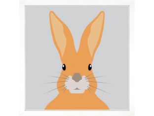 Zoo Portrait VI - Rabbit 24W X 24H